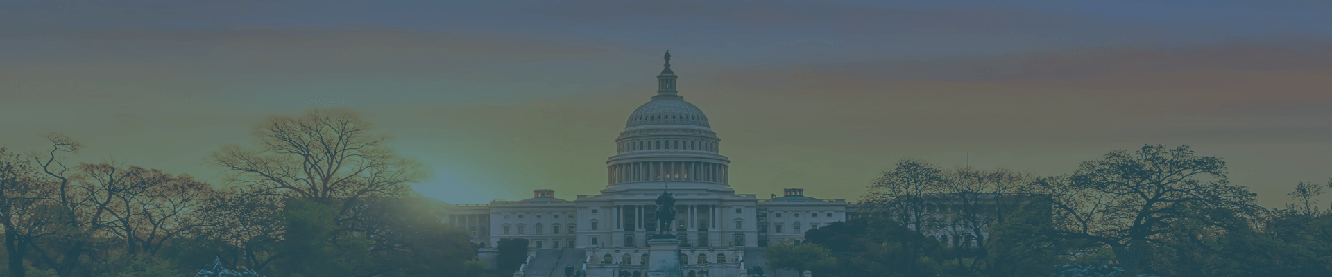 The Fight for Hemp Advocacy