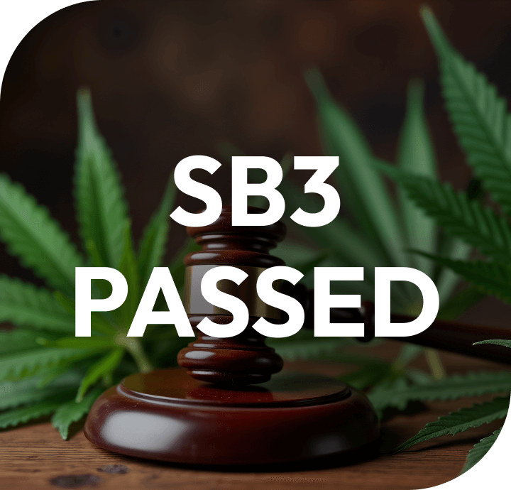 SB3 Passed