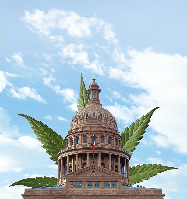 The Fight for Hemp Advocacy