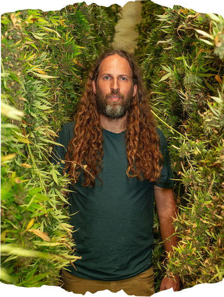 Trimming