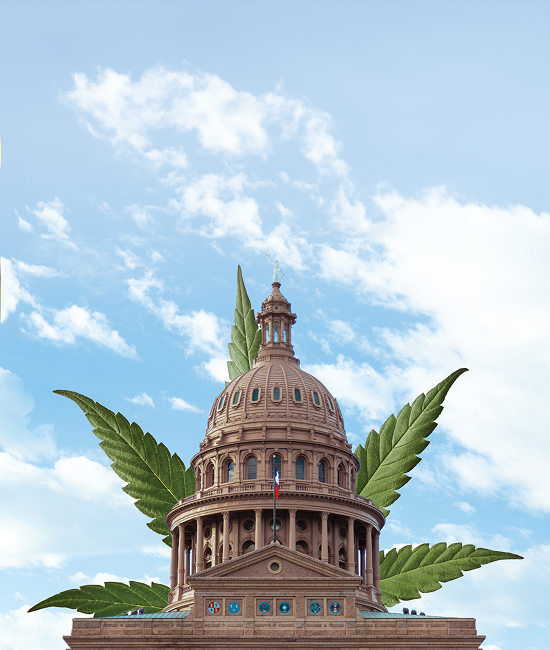 The Fight for Hemp Advocacy