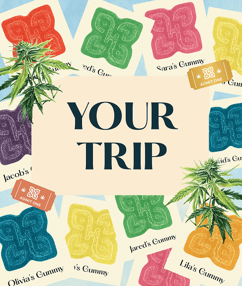 Your Trip