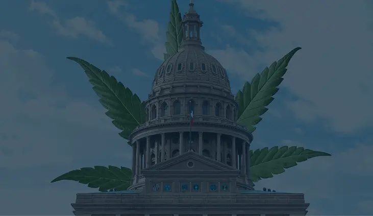 Hometown Hero CBD Strengthens Advocacy Leadership with Appointment of Cynthia Cabrera as Chief Strategy Officer