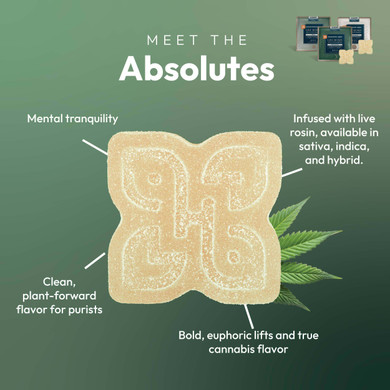 absolute gummy infographic