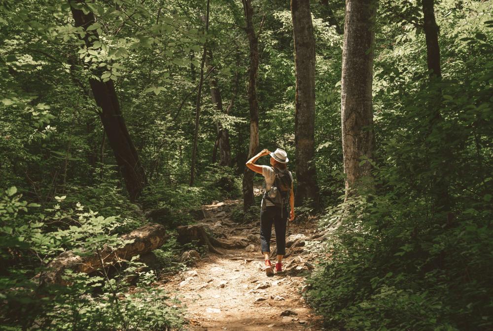 Nature's Reset Button: How Forest Bathing Revives Mind & Body