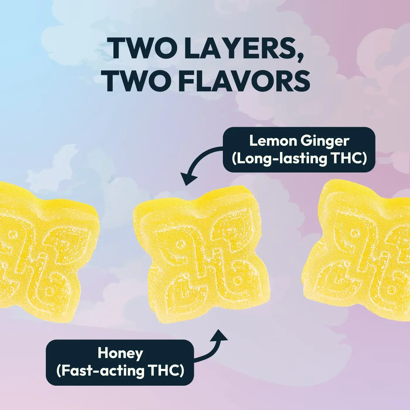 Honey Lemon Ginger - Double Take Gummies