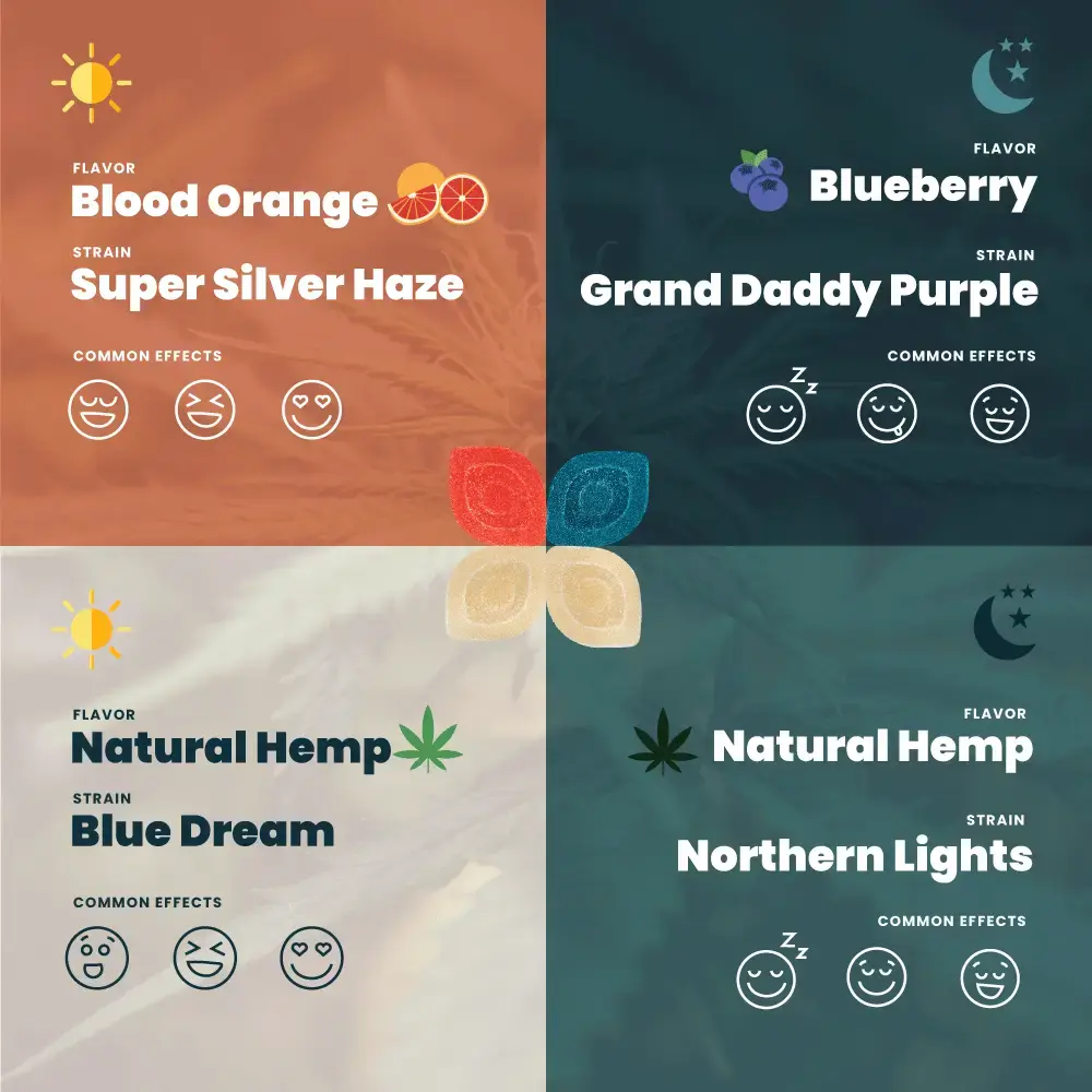 5mg Day and Night Discovery Pack | Hometown Hero
