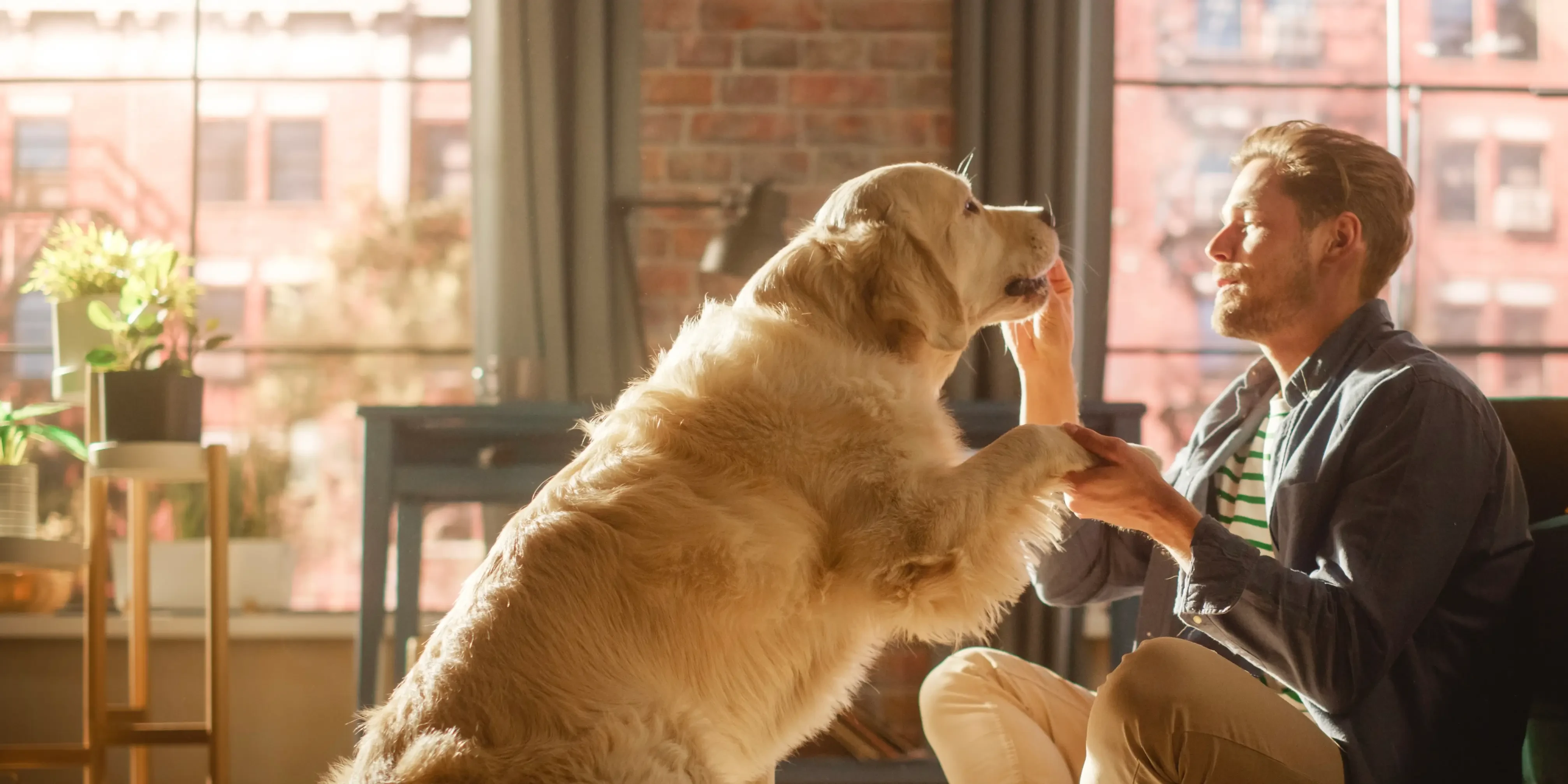 man feeding his dog a CBD treat