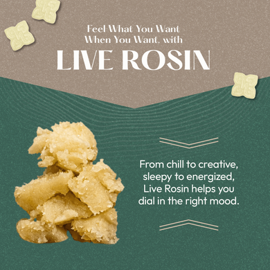 live rosin infographic