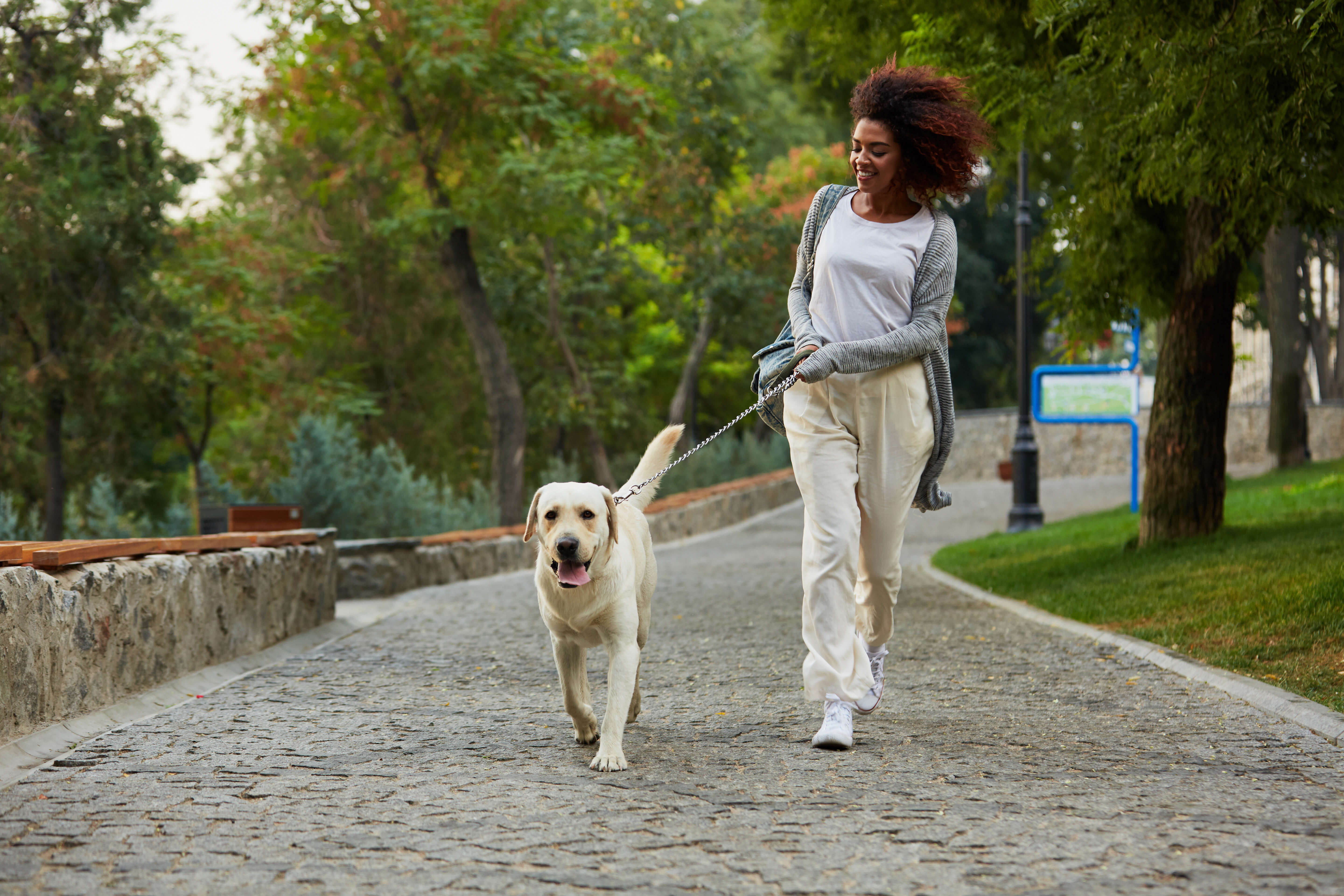 lady walking her dog in the park