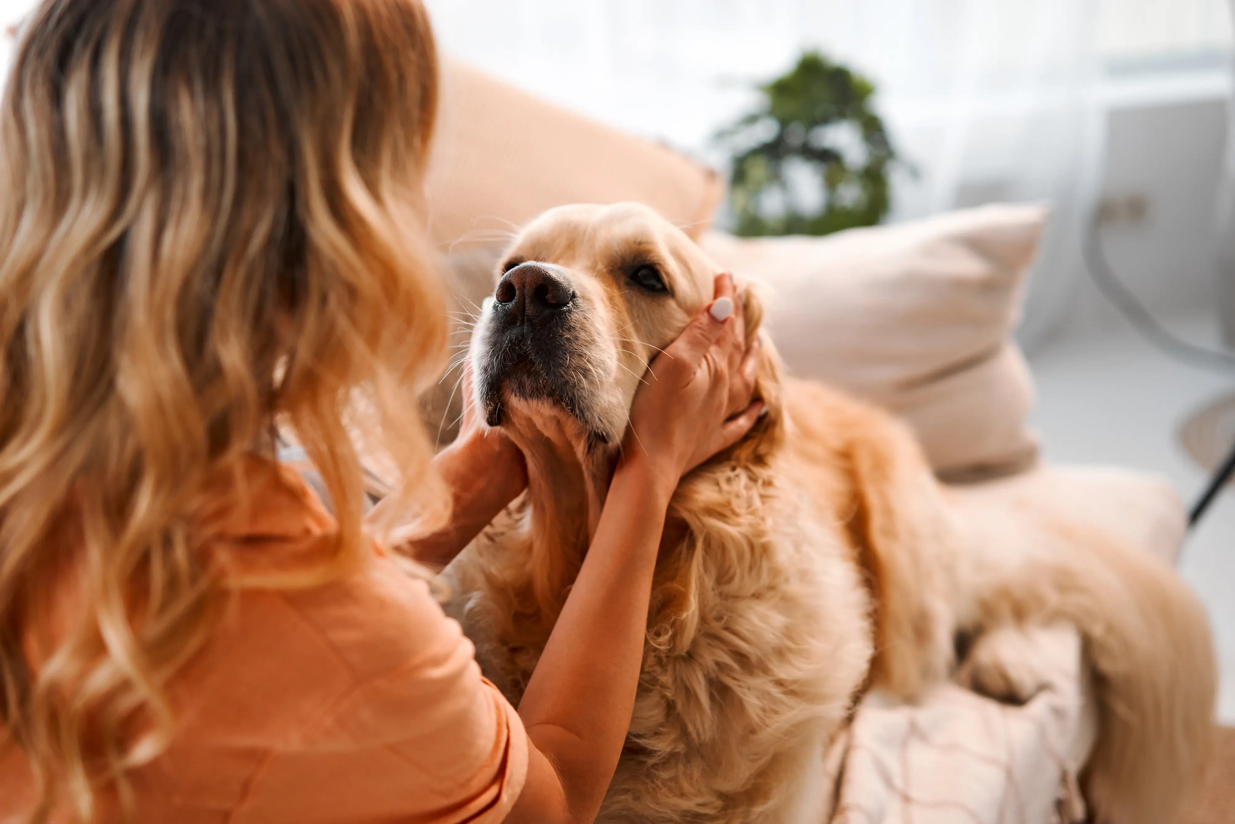 Woman caressing her golden retriever affectionately