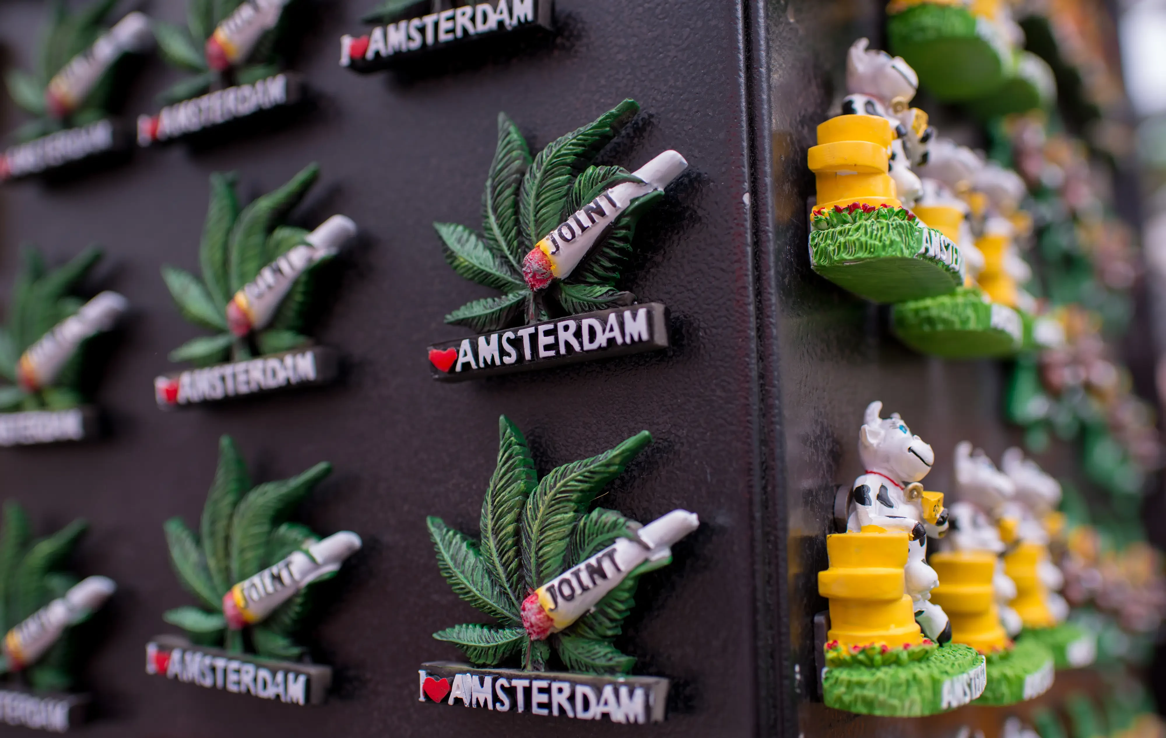 amsterdam magnets showcasing a joint of weed