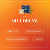 about blue dream gummy infographic