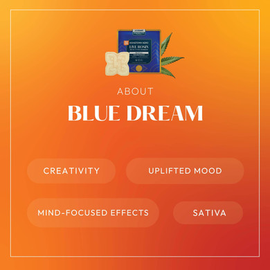 about blue dream gummy infographic