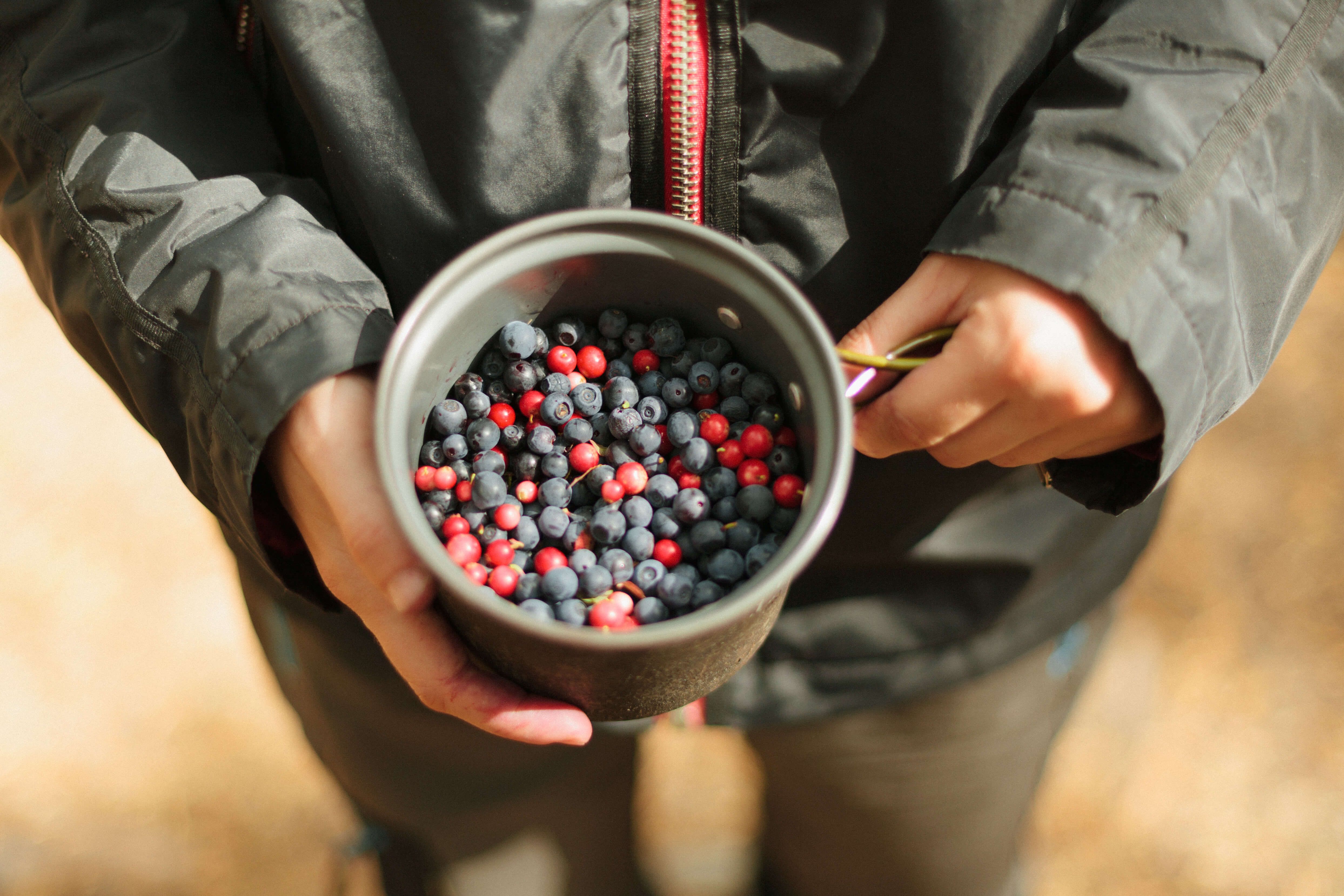 blueberries in a bowl