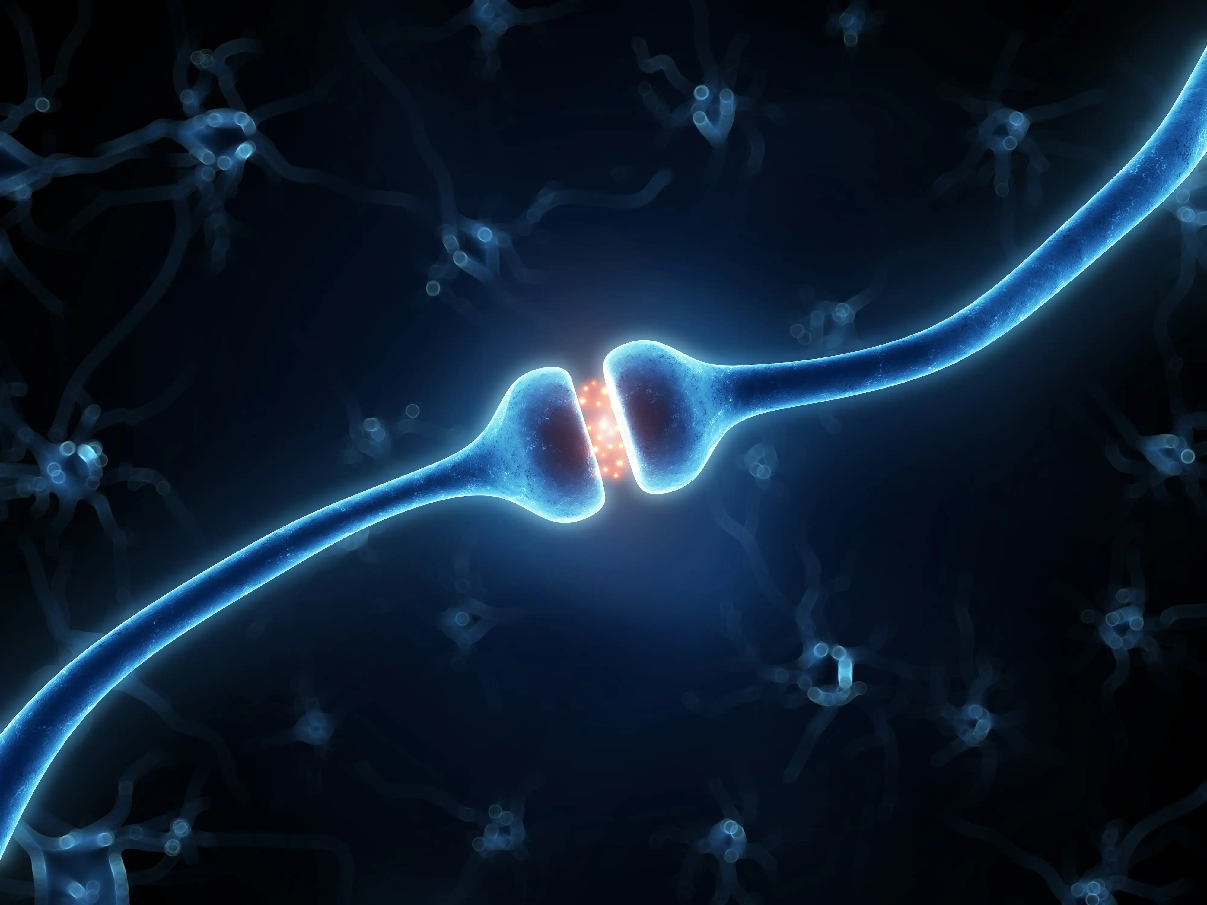 active cannabinoid receptor