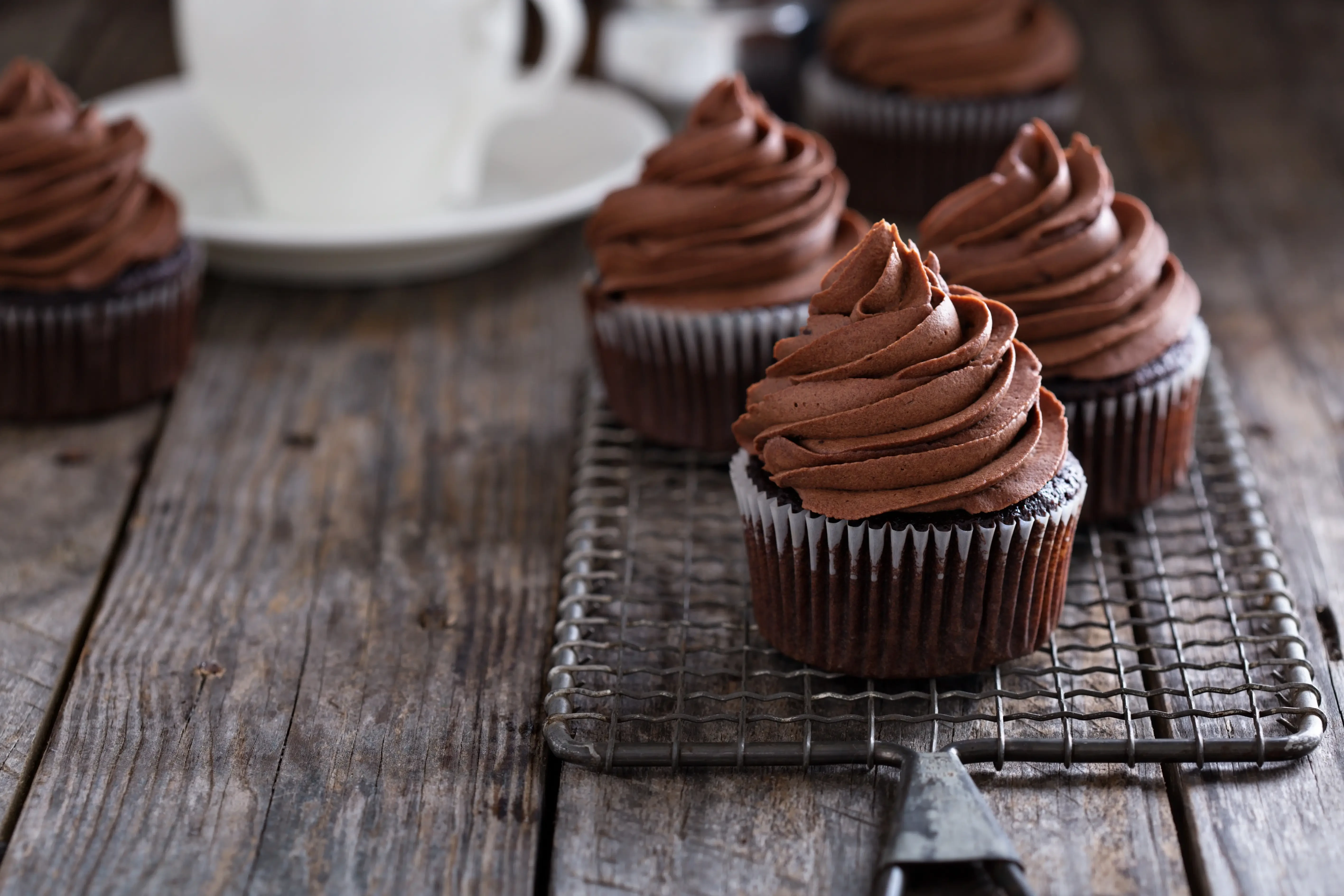 chocolate cupcakes