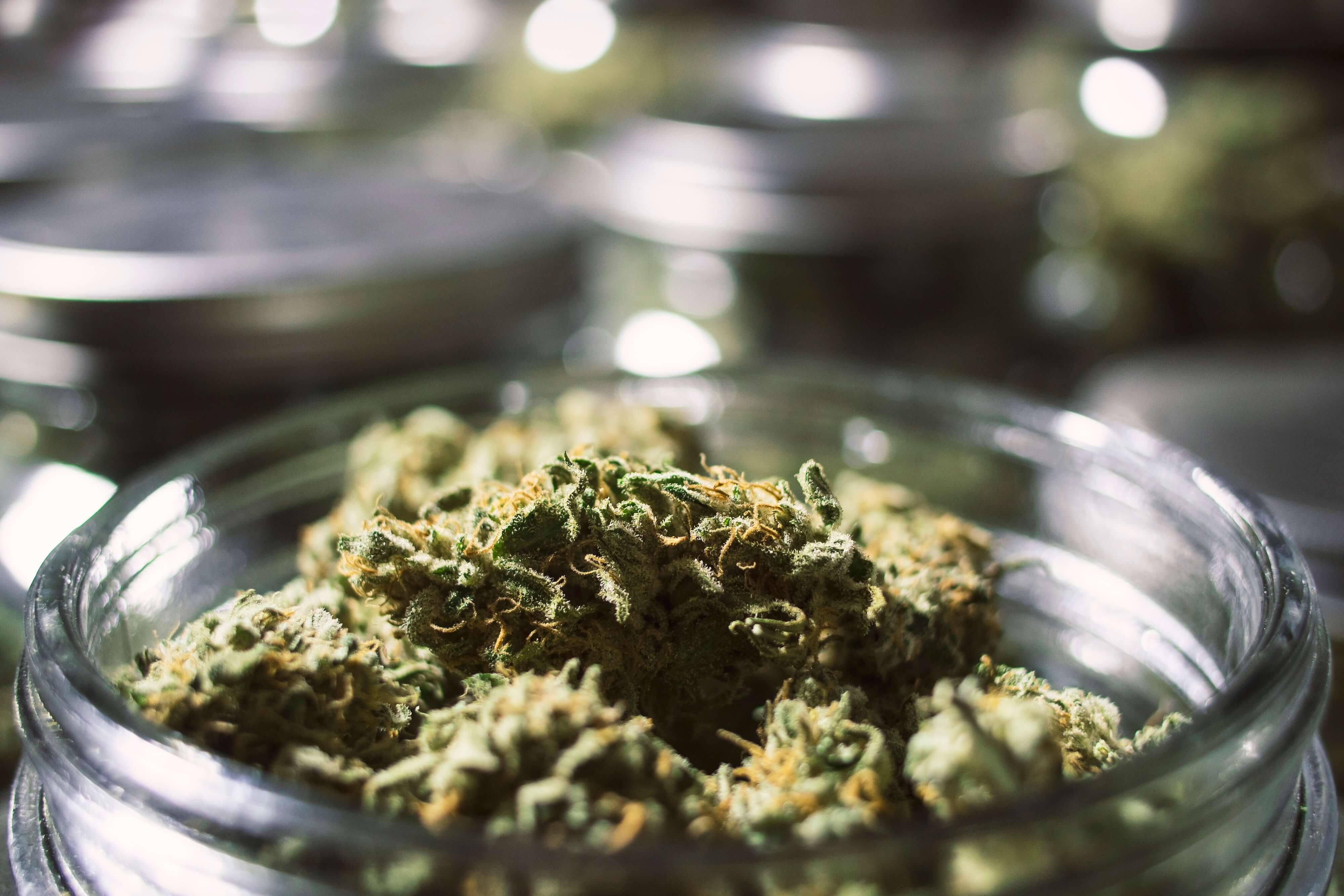 cannabis flower buds in a jar up close with a blurry background