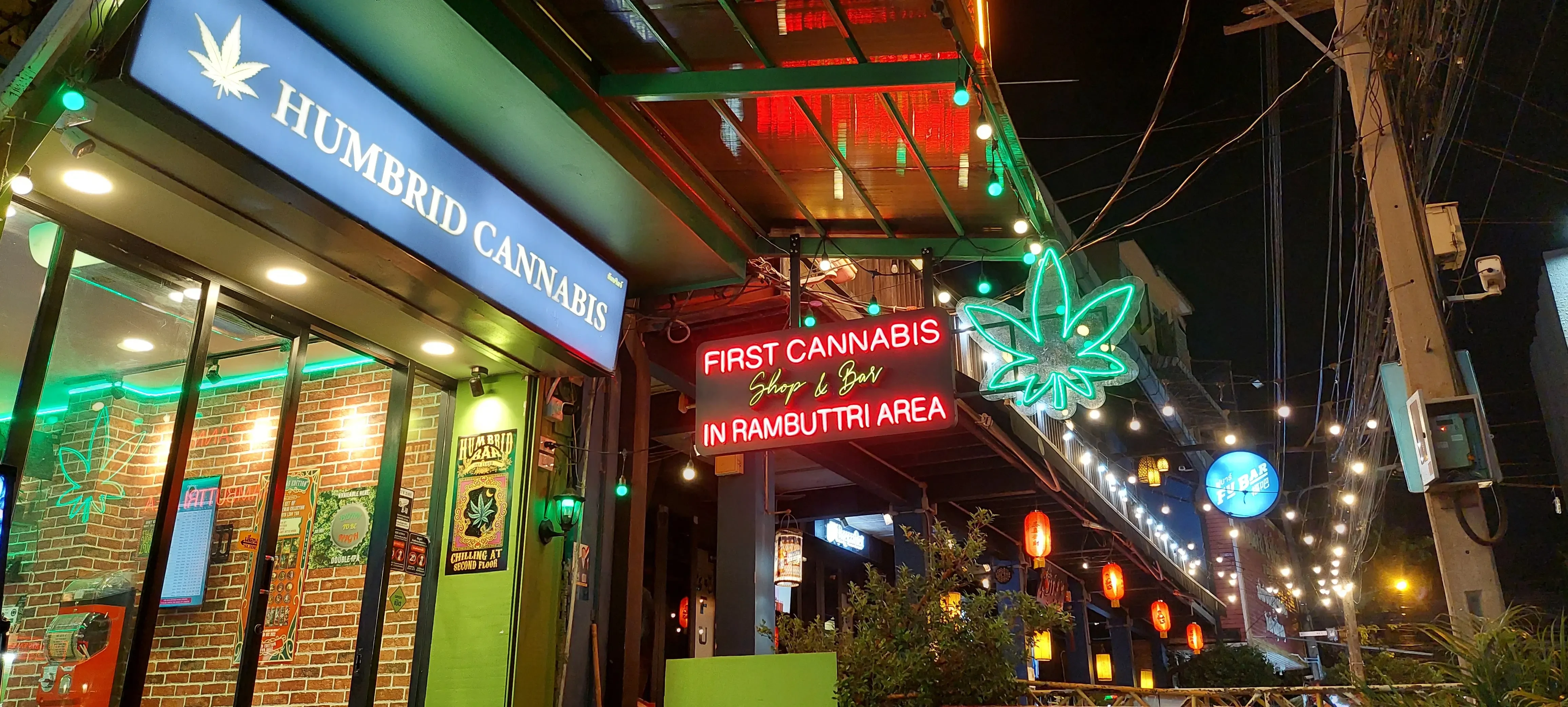 cannabis bar and shop