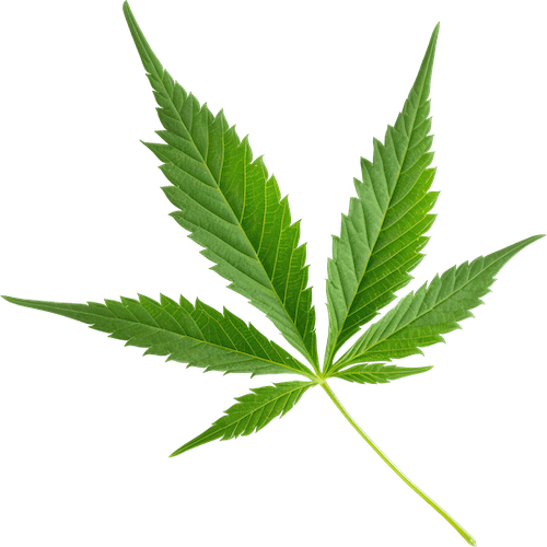 cbd-lea