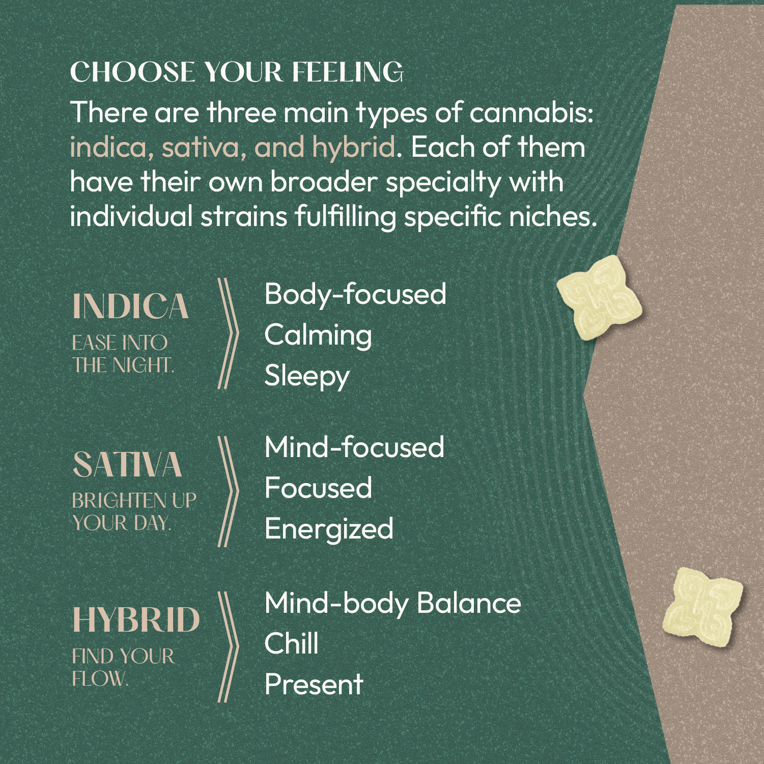 choose your feeling