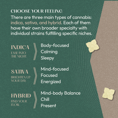 choose your feeling