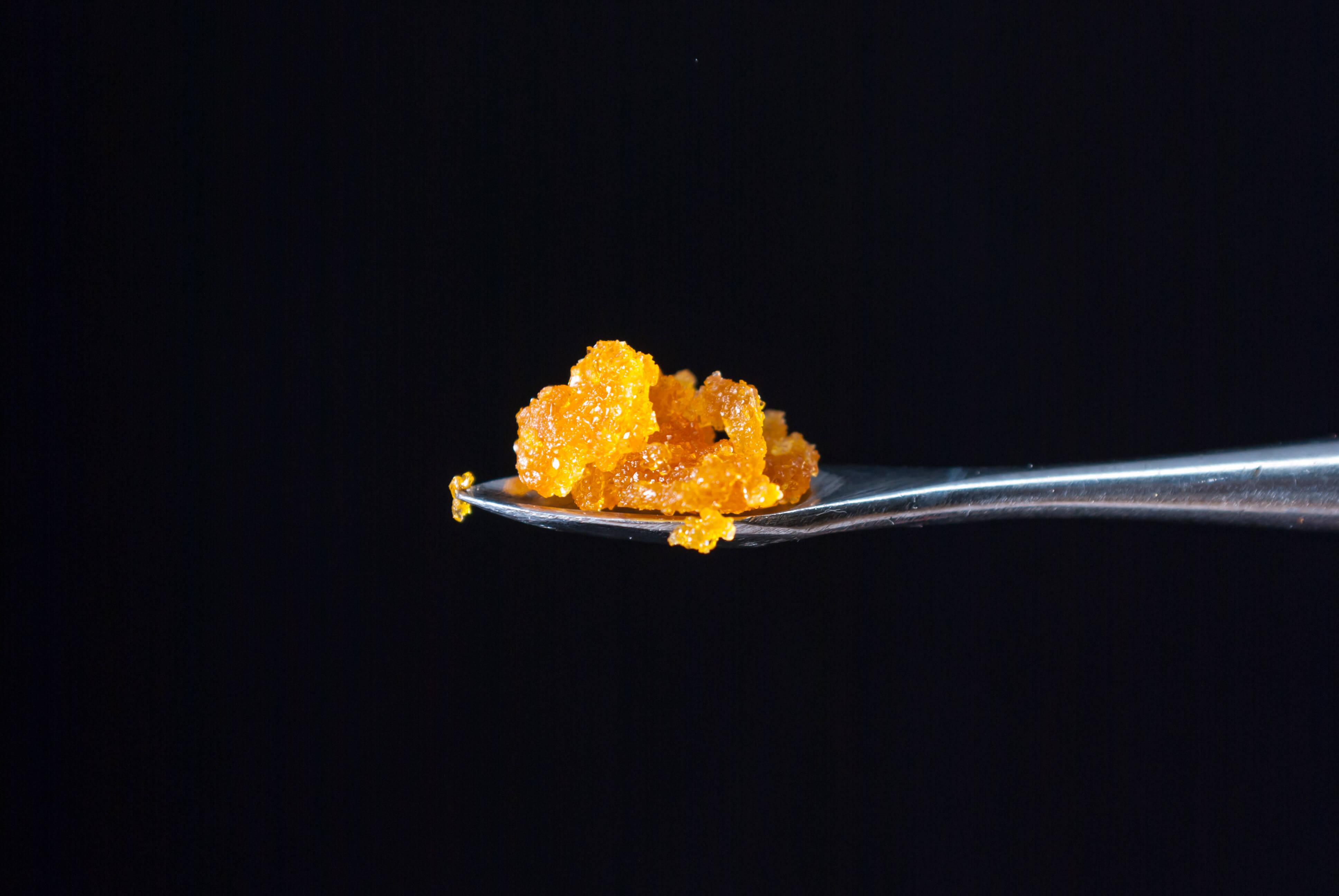 cannabis concentrate on a dabbing tool