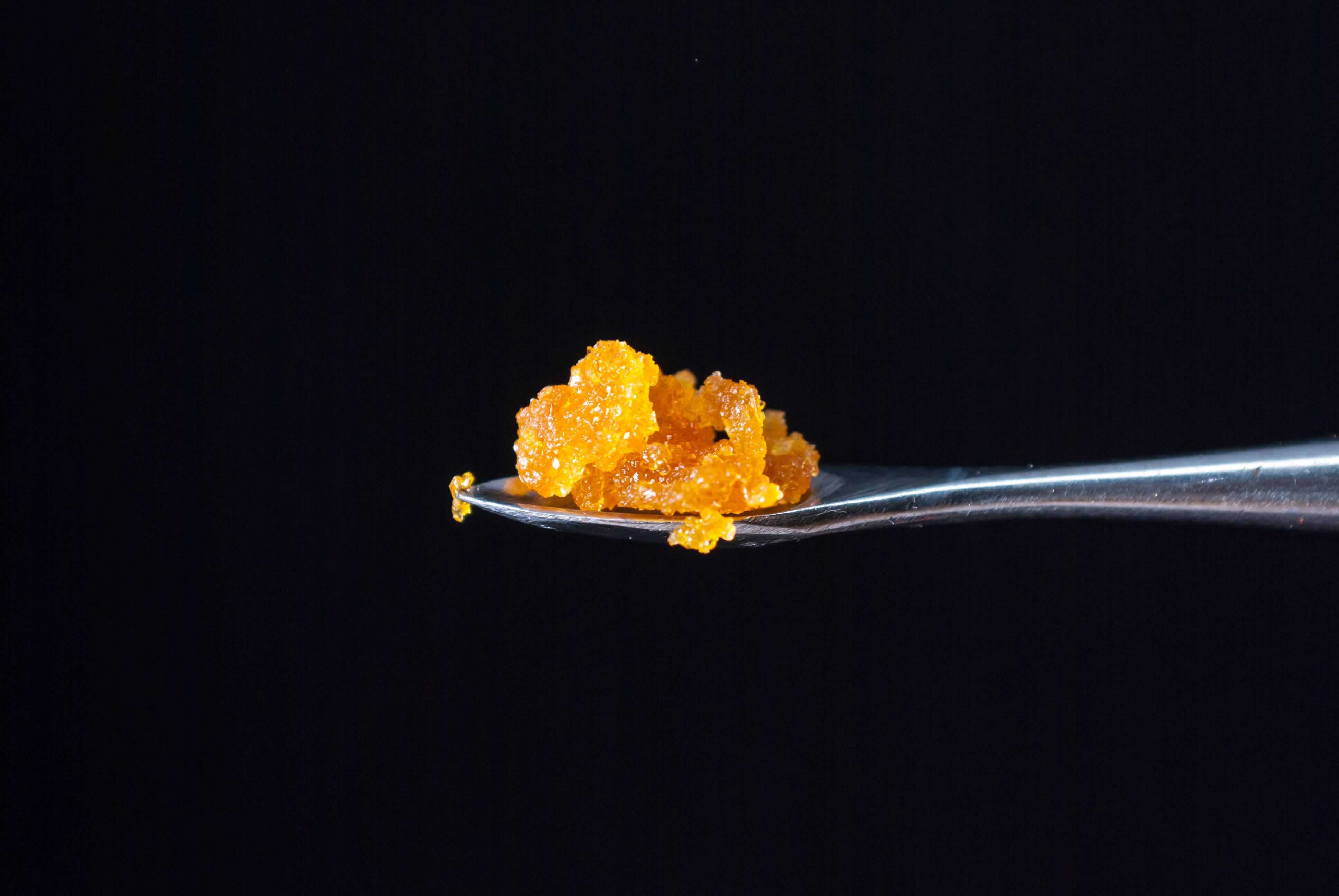 cannabis concentrate on a dabbing tool