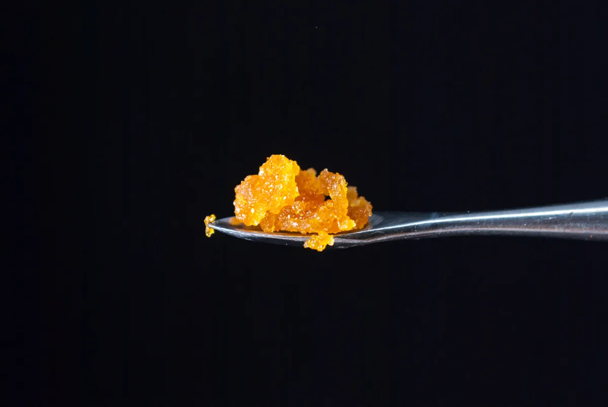 cannabis concentrate on a dabbing tool