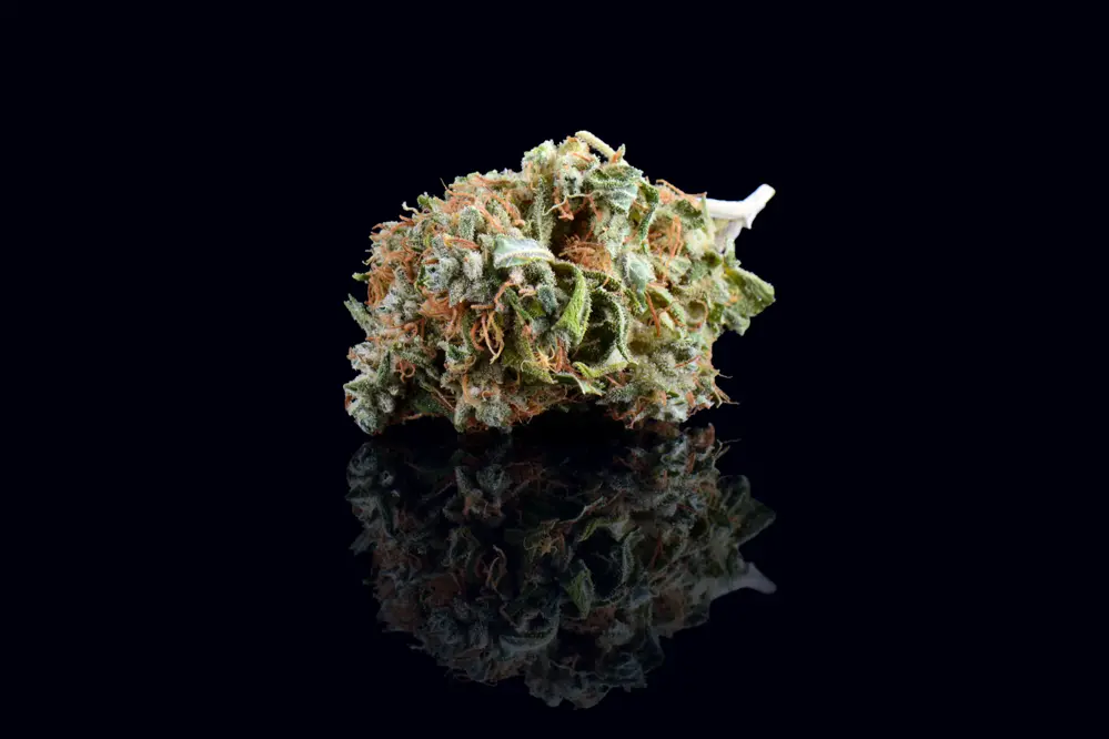 What is Delta-8 Flower?