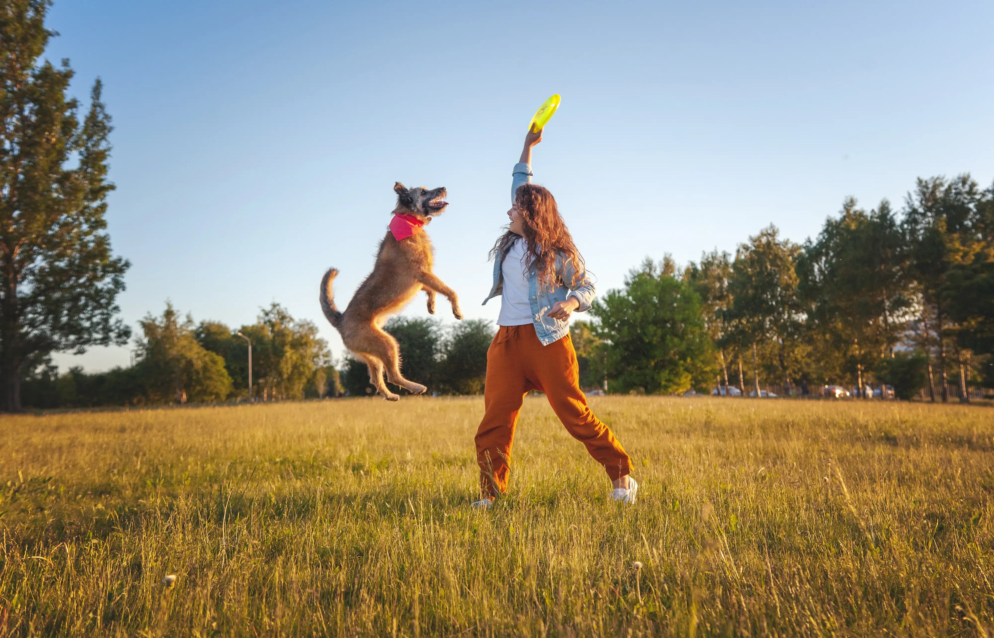 woman playing frisbee with her dog outdoors