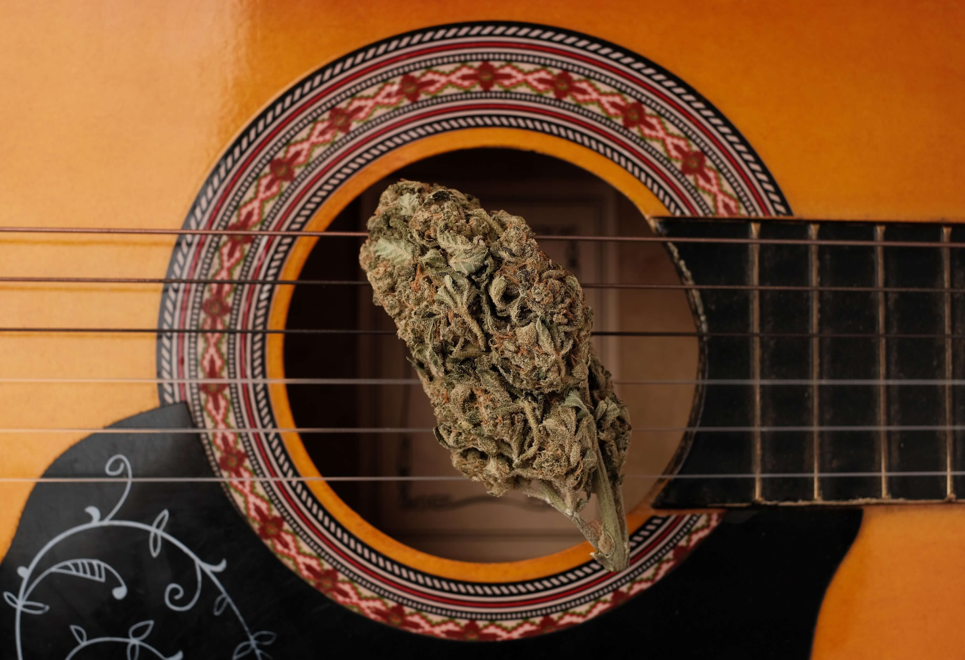 10 Famous Figures Who Enjoy Cannabis