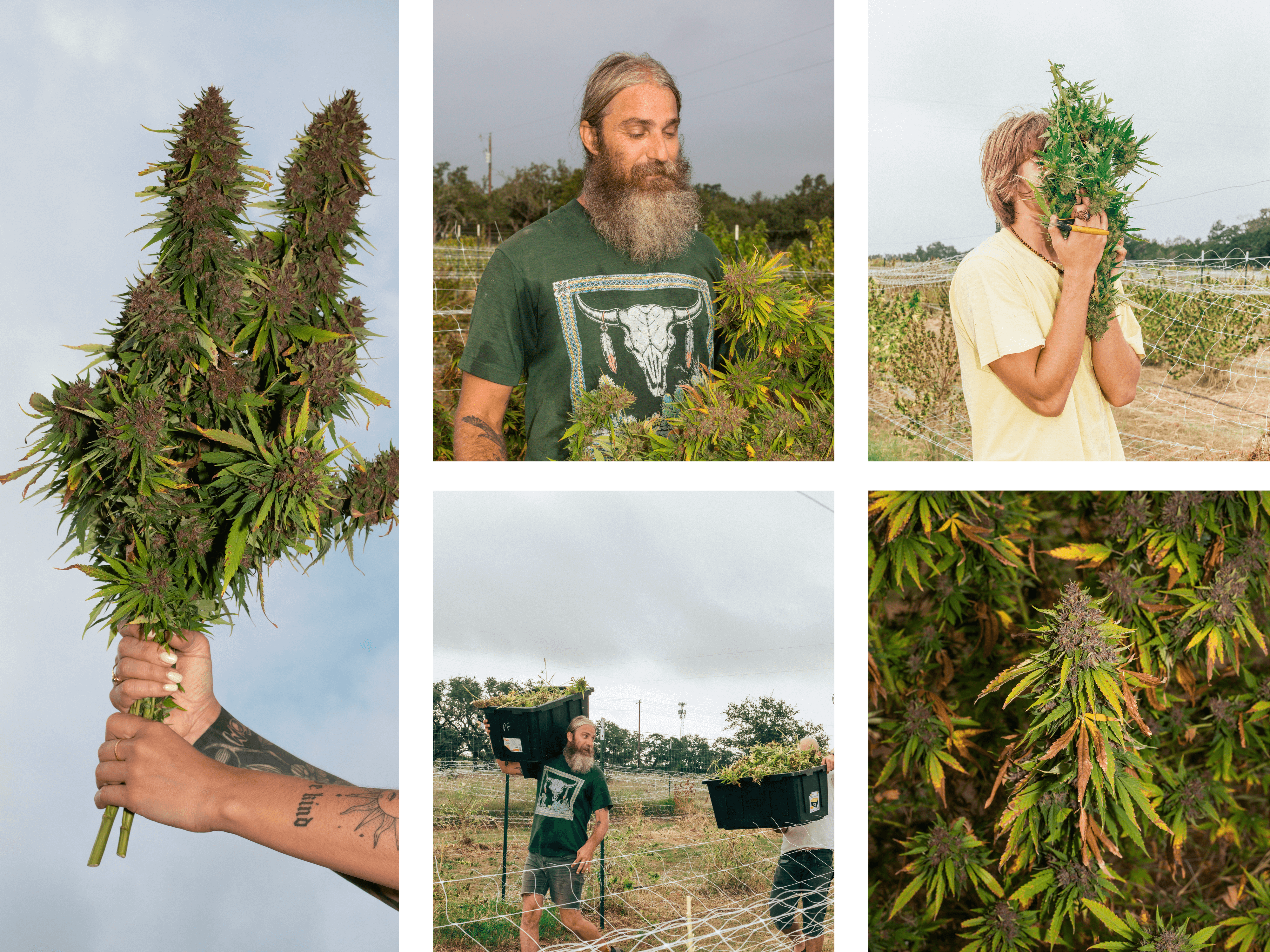 Farm photography