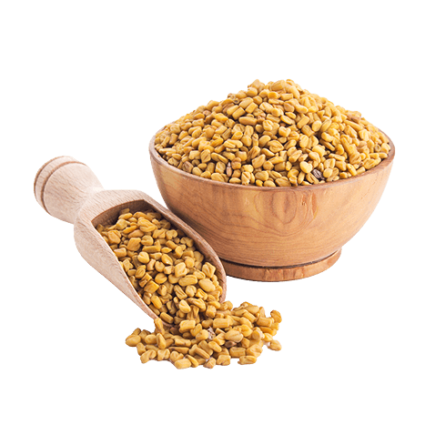 fenugreek