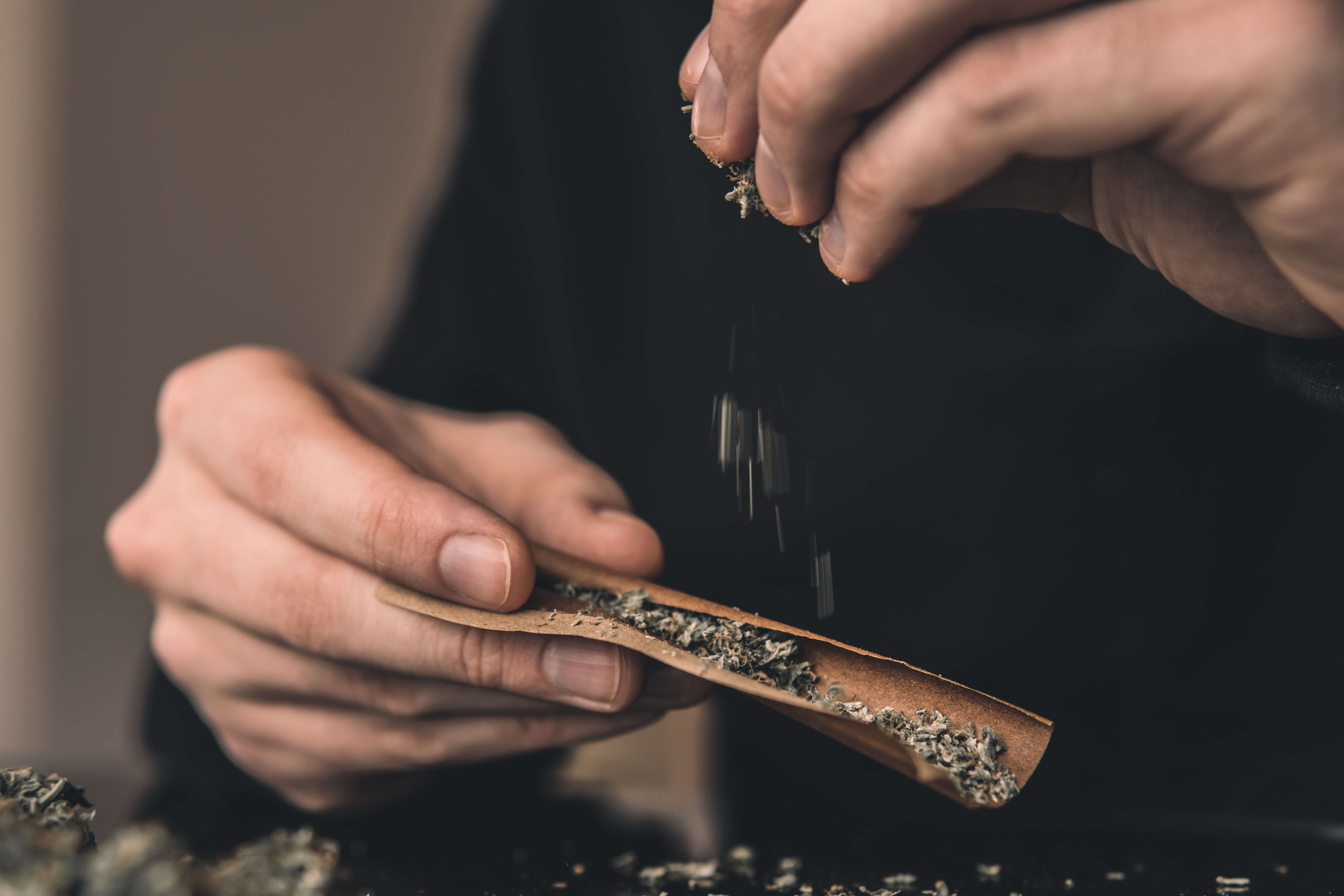 filling rolling paper with cannabis