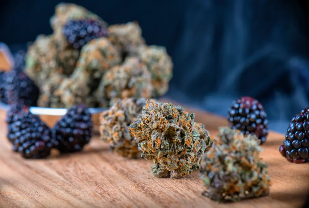 A Complete Guide to Flavonoids and Their Remarkable Properties