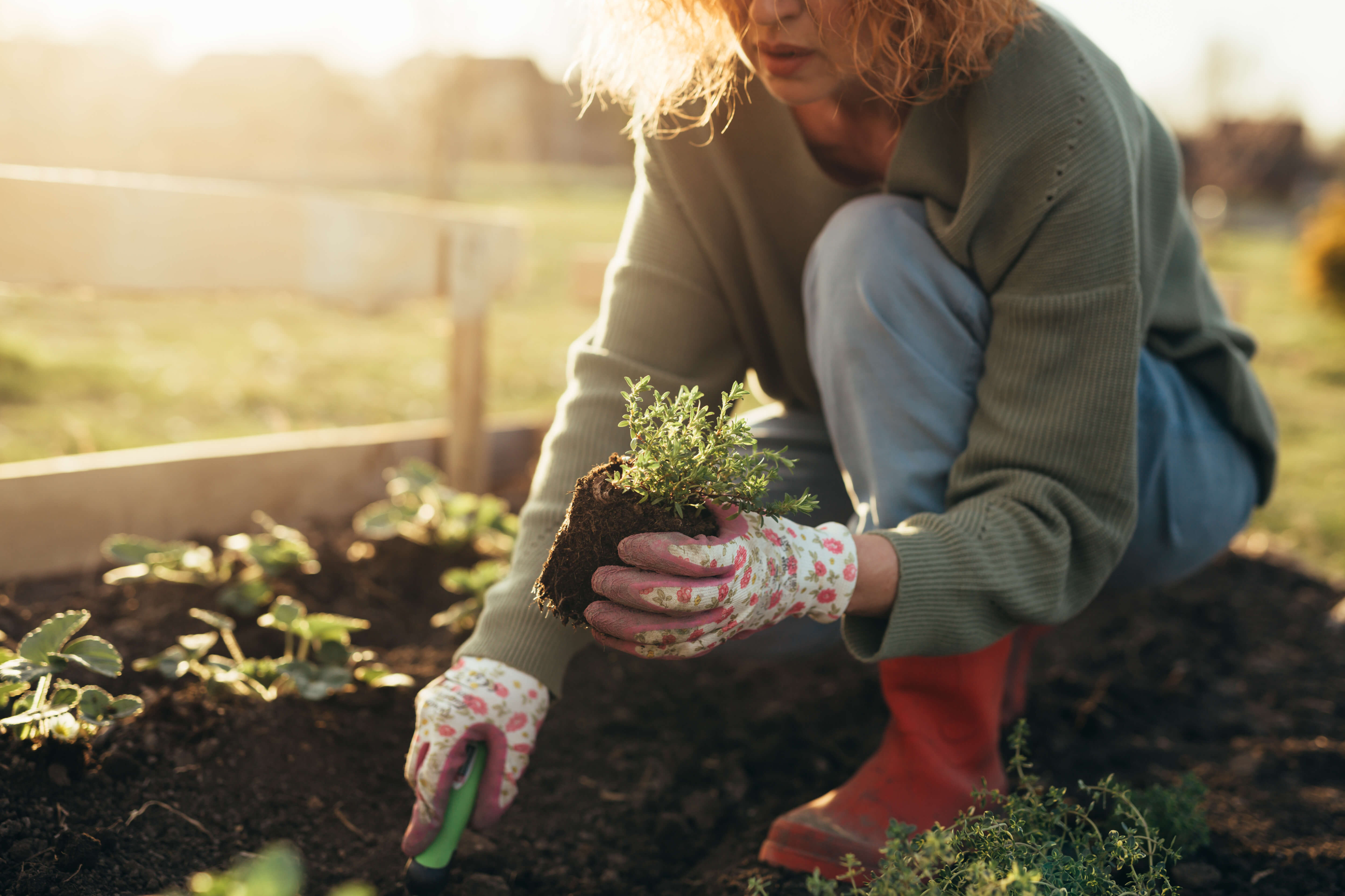 woman gardening holding dirt