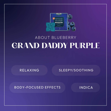 about granddaddy purple gummy infographic