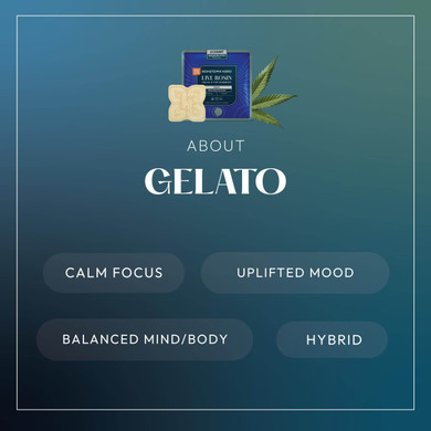 abou gelato gummy infographic