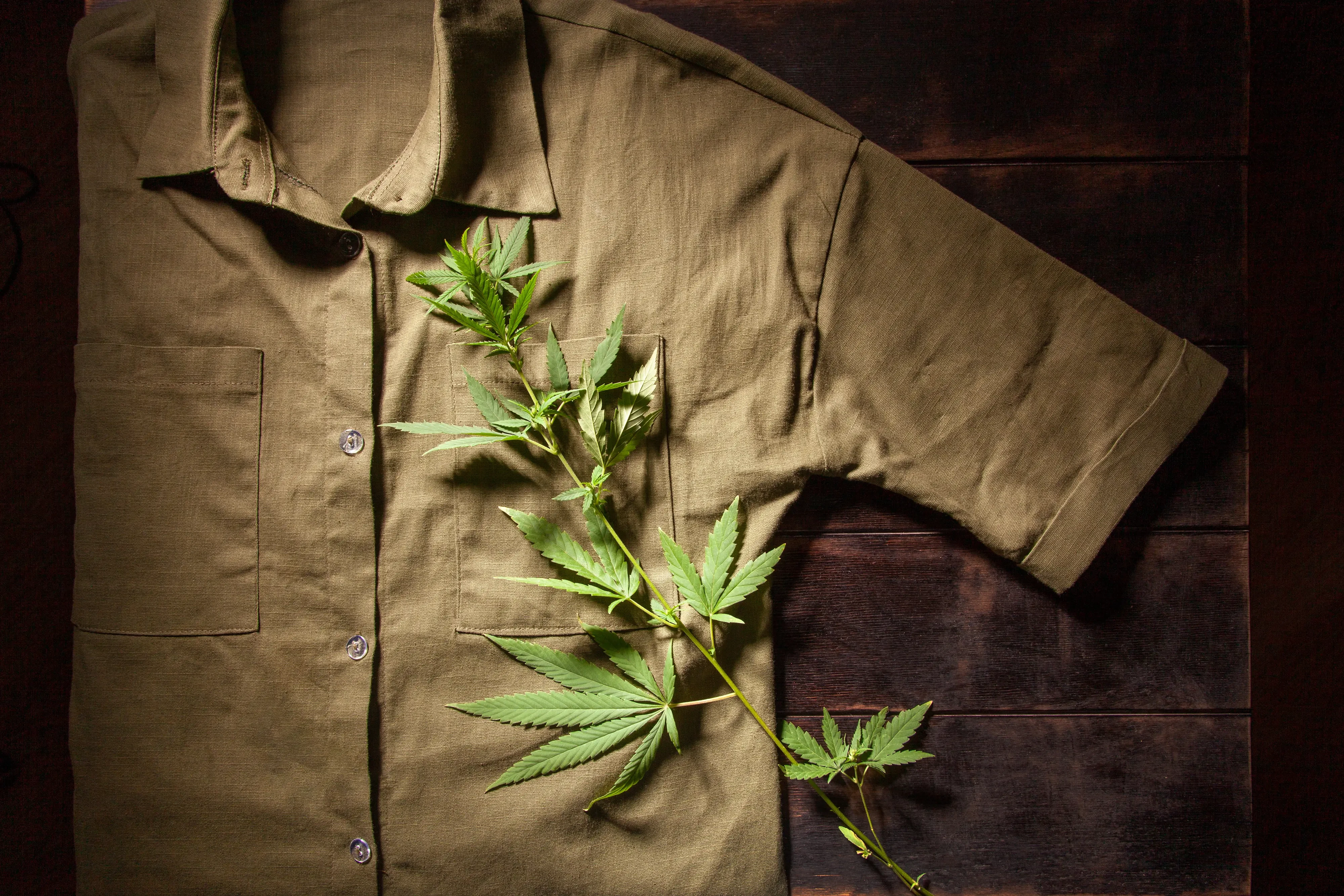 shirt made of hemp textiles with a hemp plant on top