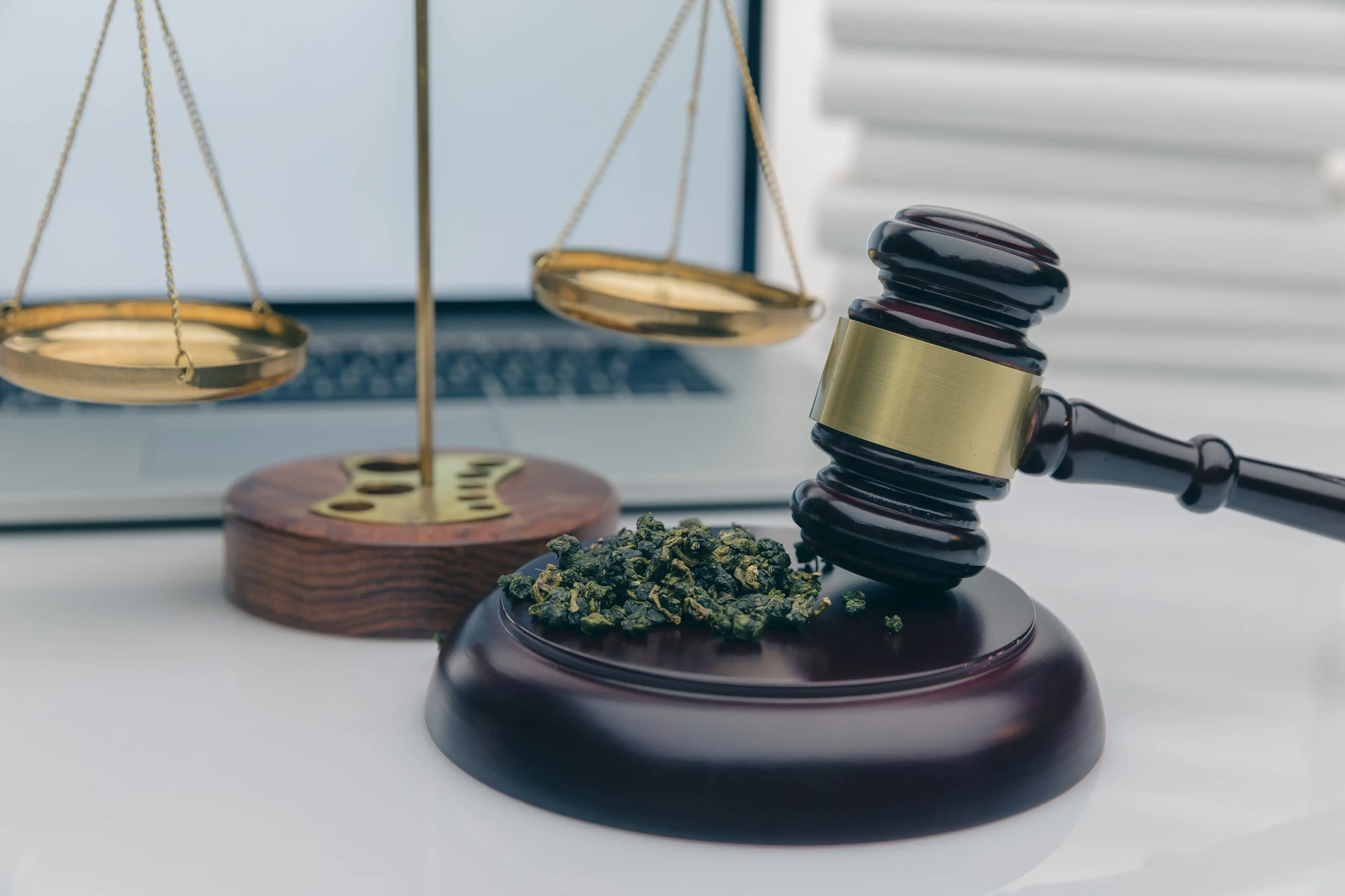 a judge's gavel on a platform with hemp buds