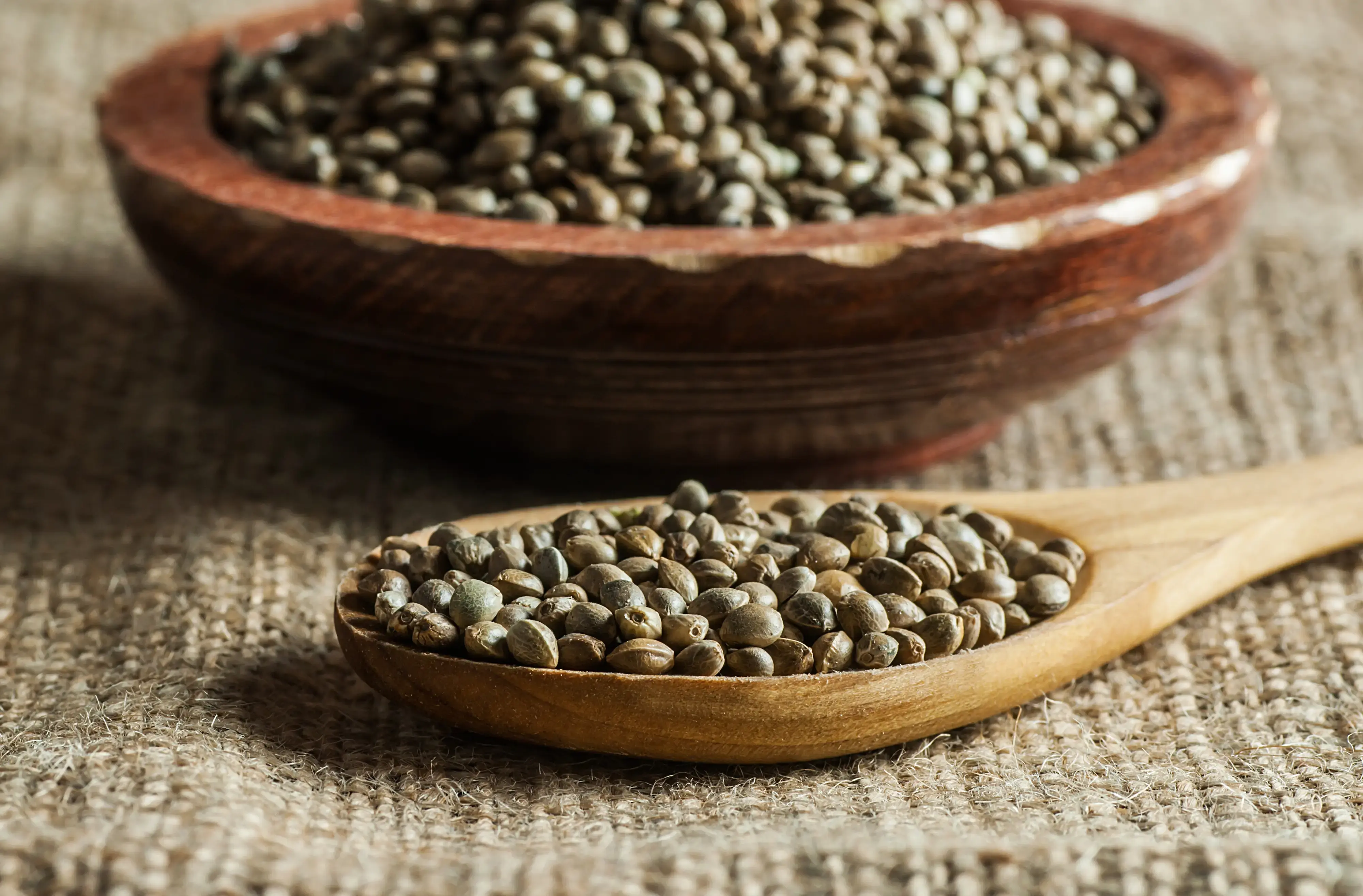 hemp seeds unhulled in a plate