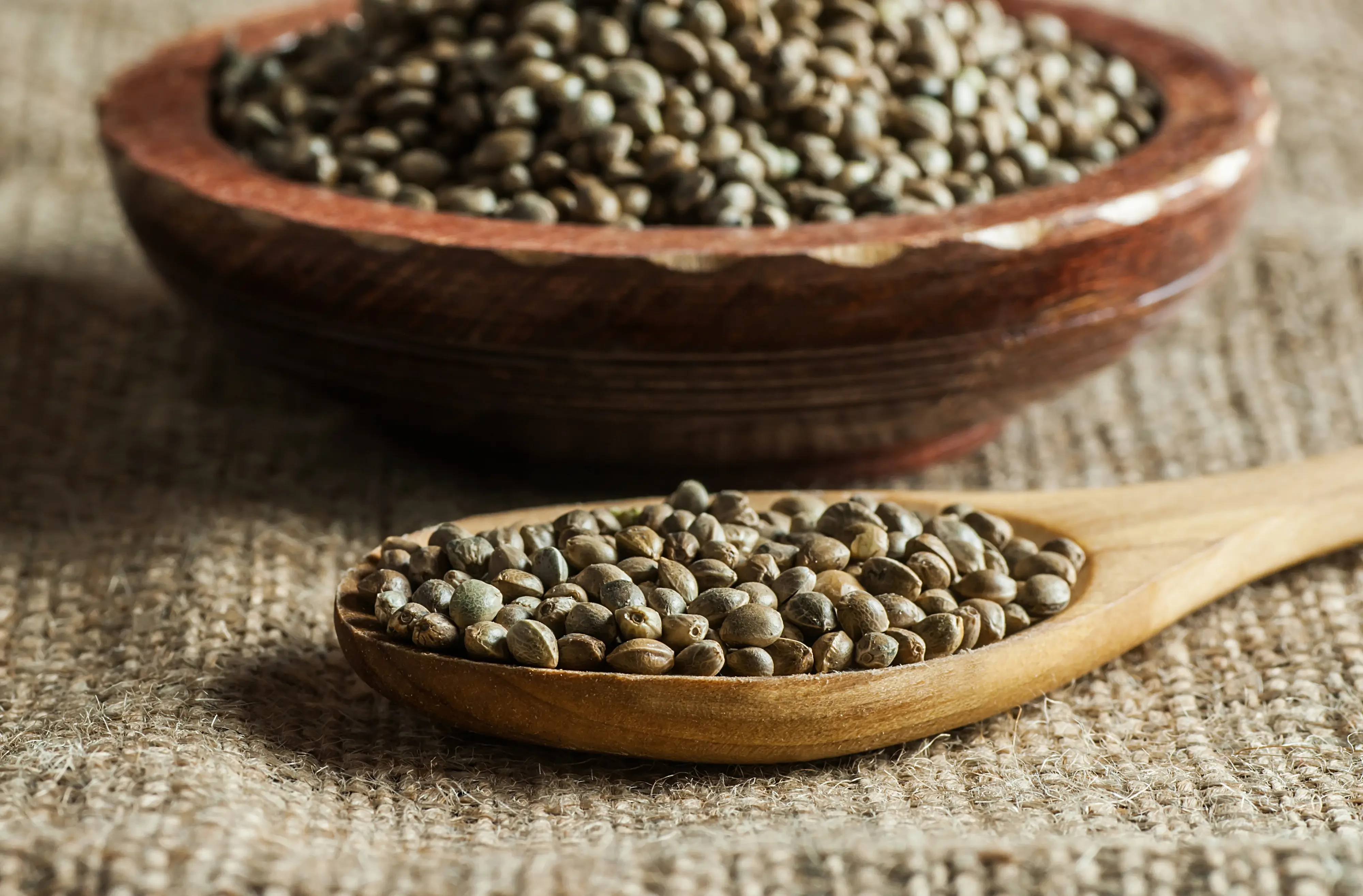 hemp seeds unhulled in a plate