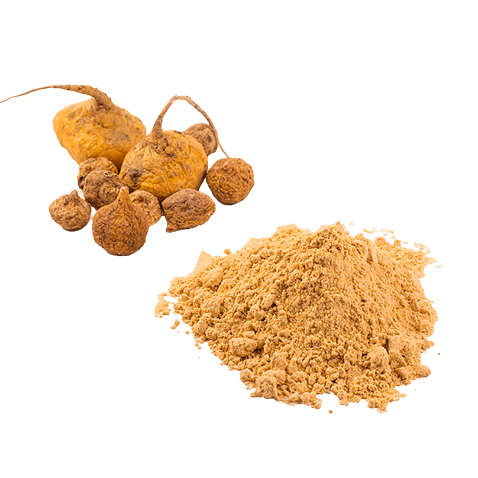 maca root and powder