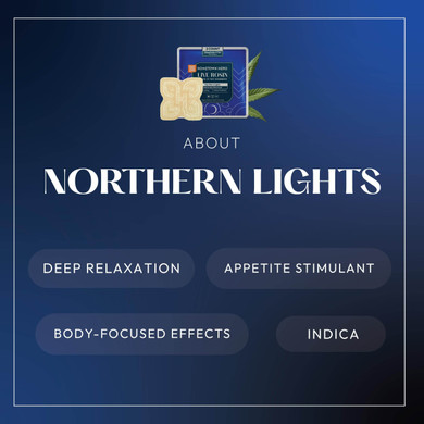 about northern lights infographic