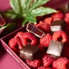 raspberries and chocolates