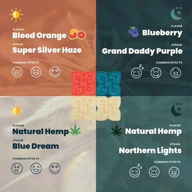 comparing 4 strains of cannabis effects and flavors