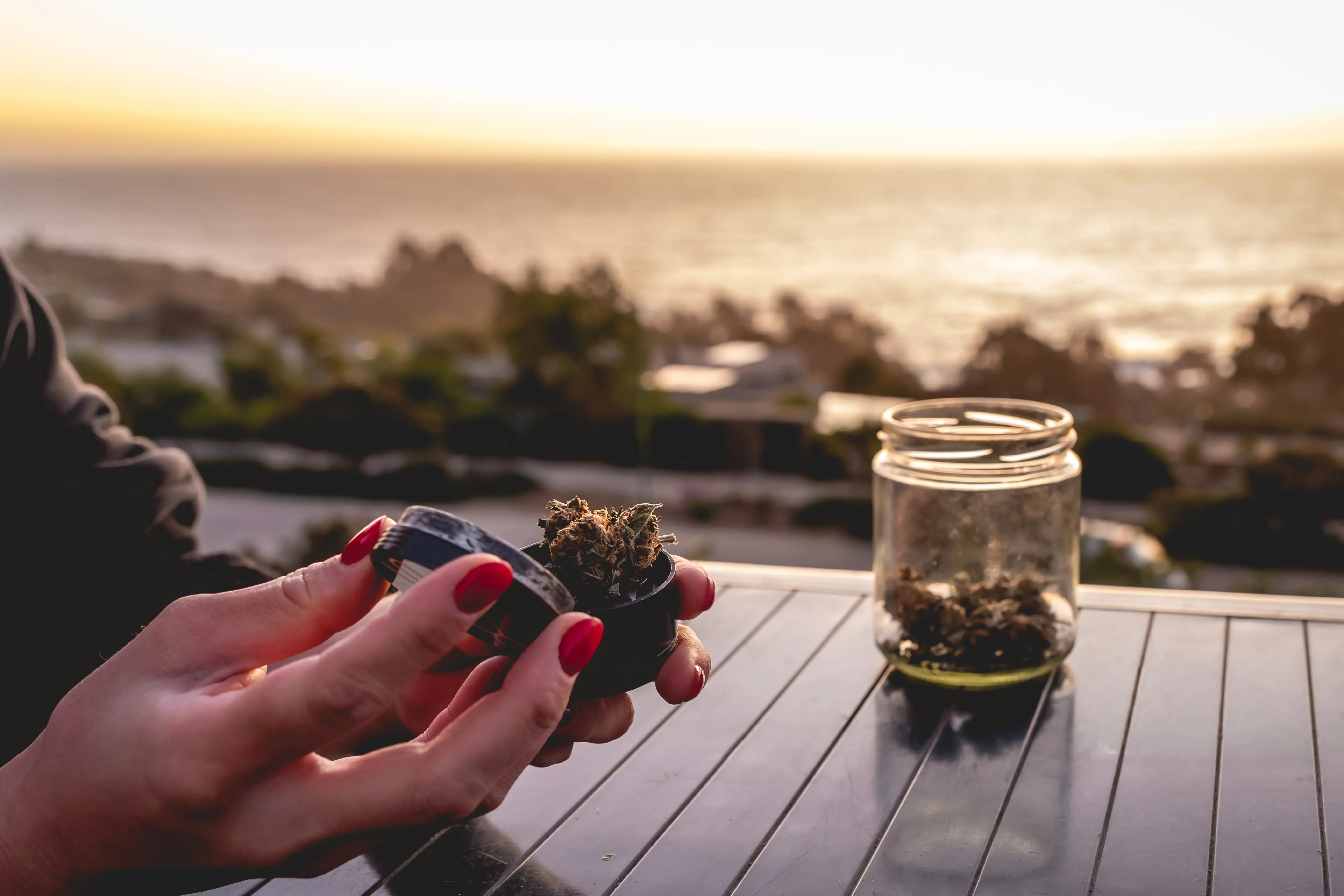 woman preparing cannabis buds in her grinder
