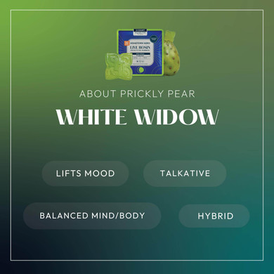 White Widow info graphic